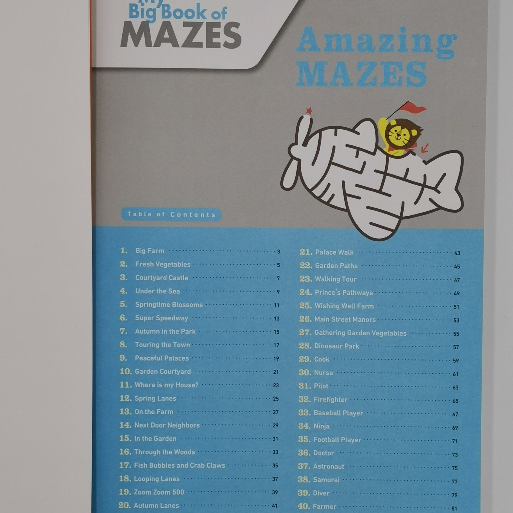 Kumon Workbook - My Big Book Of Mazes