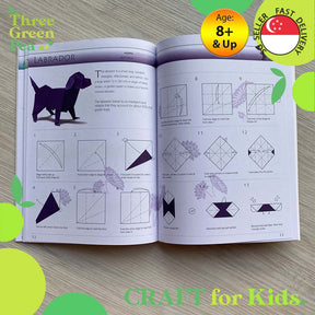 Origami Animals Box Set - Art and Craft Activity With Children