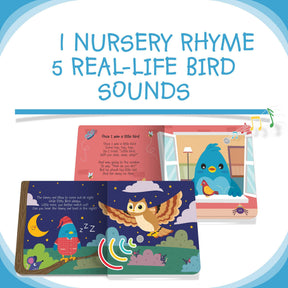 Ditty Bird Bird Songs Book [Authentic] - Audio Sound Book for Children Ages 1+ Ready Stocks [B1-3 OTHERS]