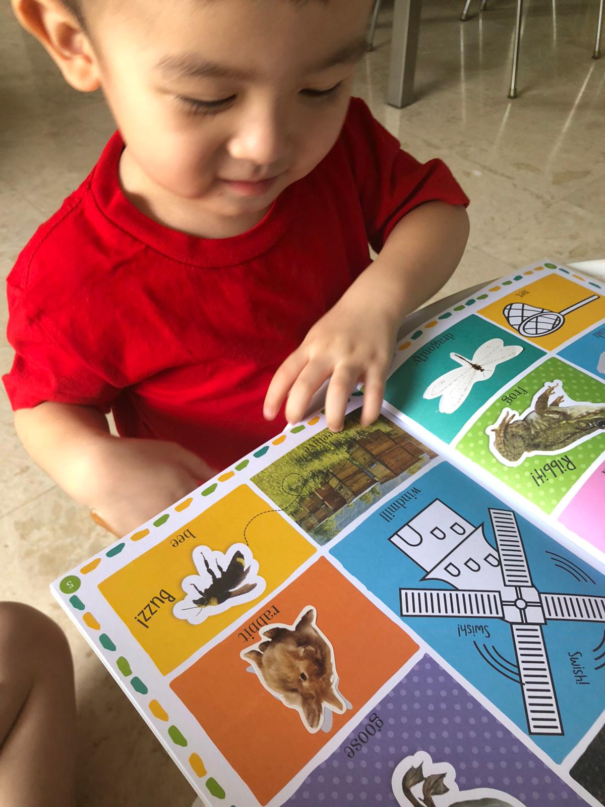 First 100 Words - Farm Stickers and Colour Activity Book | Suitable for Children Age 3 and above