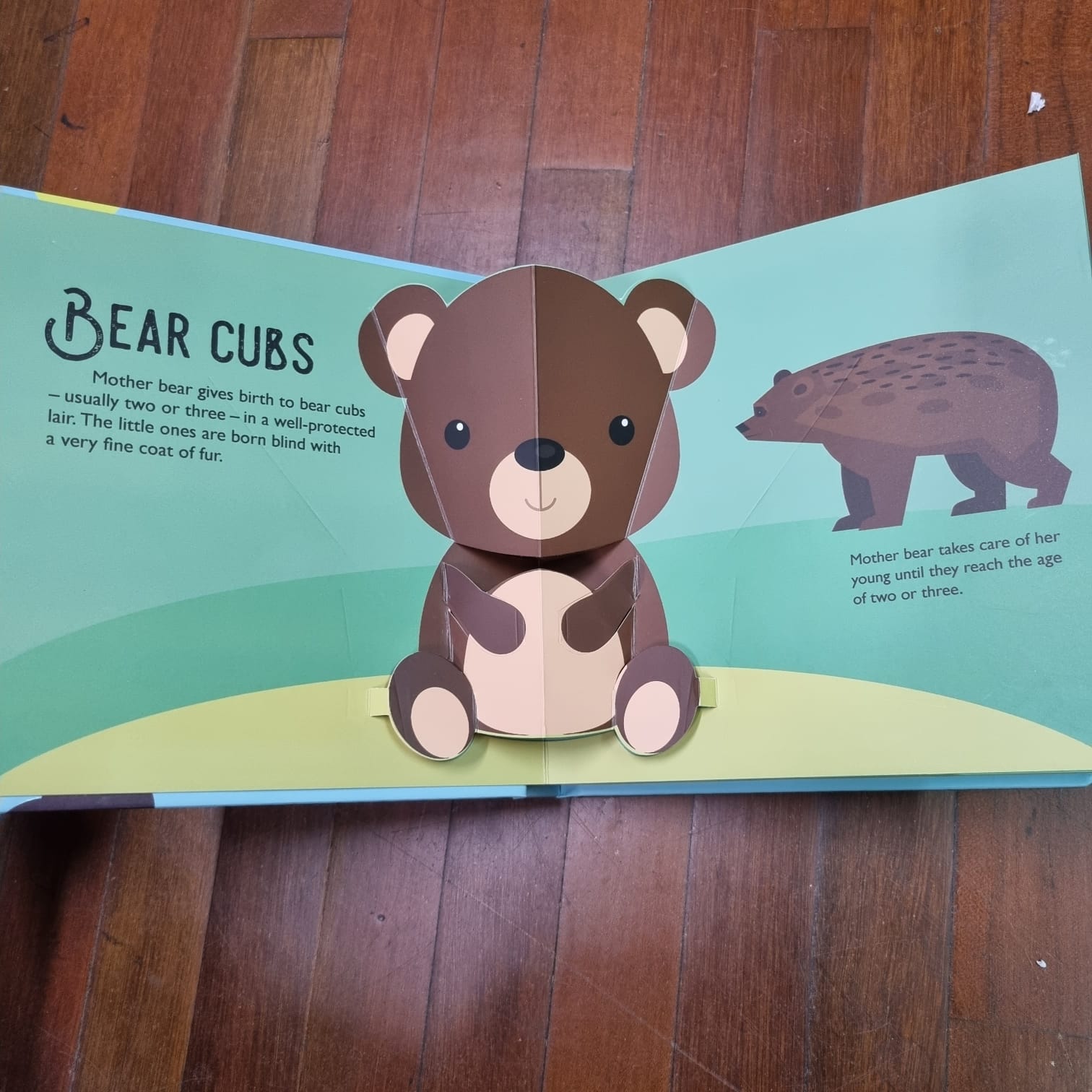 Interactive Children Book | 10 Pop Ups | Engaging and Fun | Suitable for Age 3 yo and above