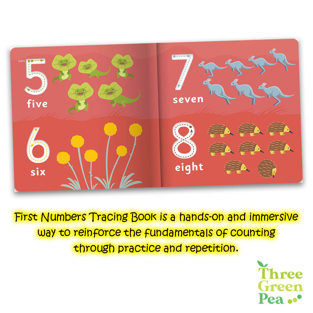 Children's Book for Ages 3 and above | Board Book - Trace and Learn First Numbers (Jr. Explorers)