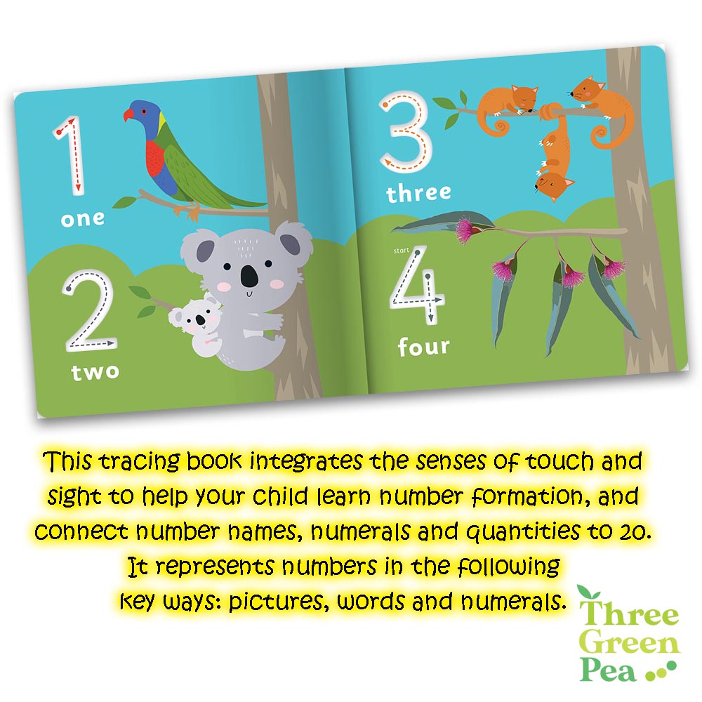 Children's Book for Ages 3 and above | Board Book - Trace and Learn First Numbers (Jr. Explorers)