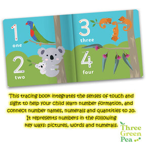 Children's Book for Ages 3 and above | Board Book - Trace and Learn First Numbers (Jr. Explorers)